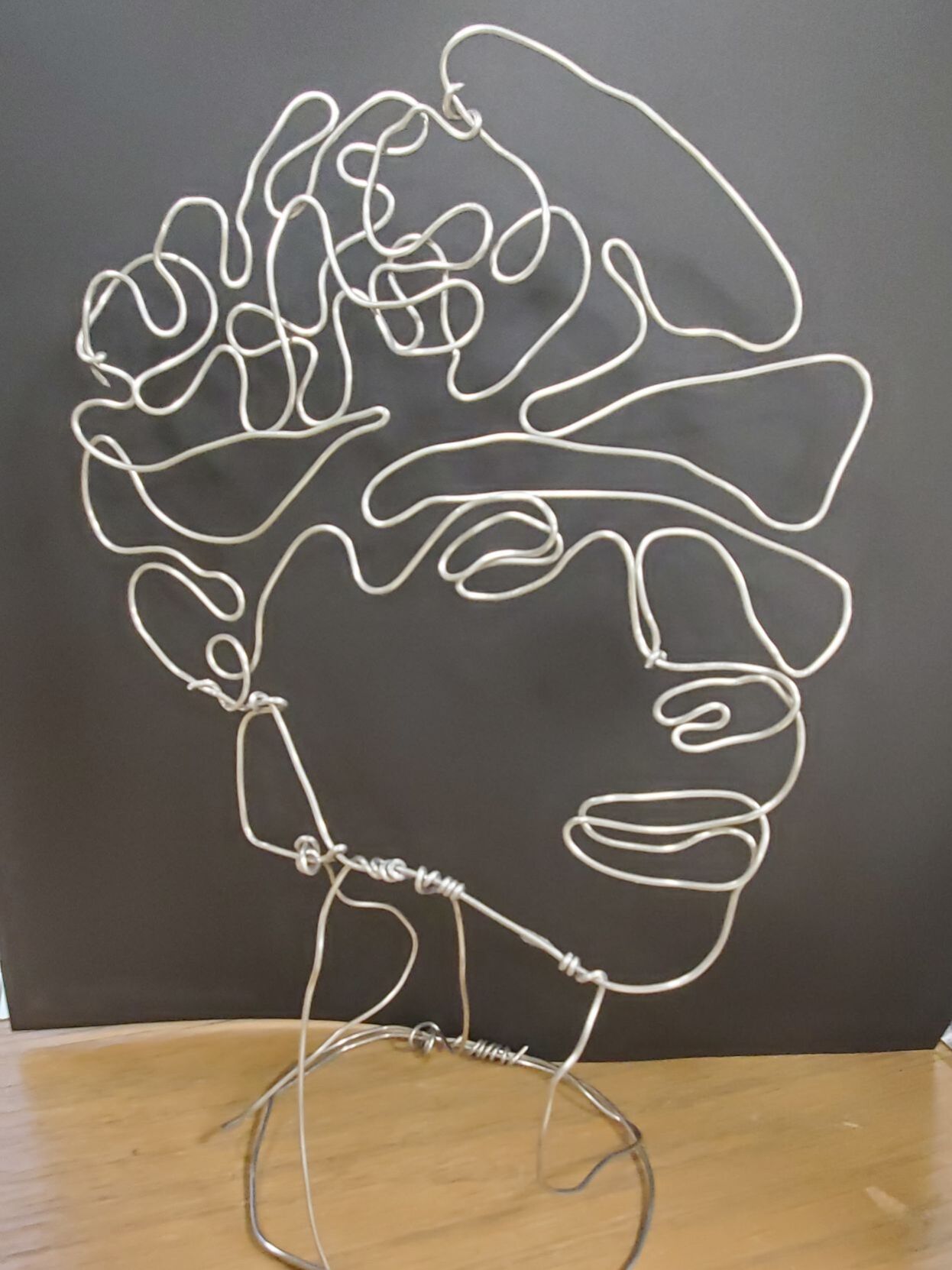 Wire portraits in Bradford
